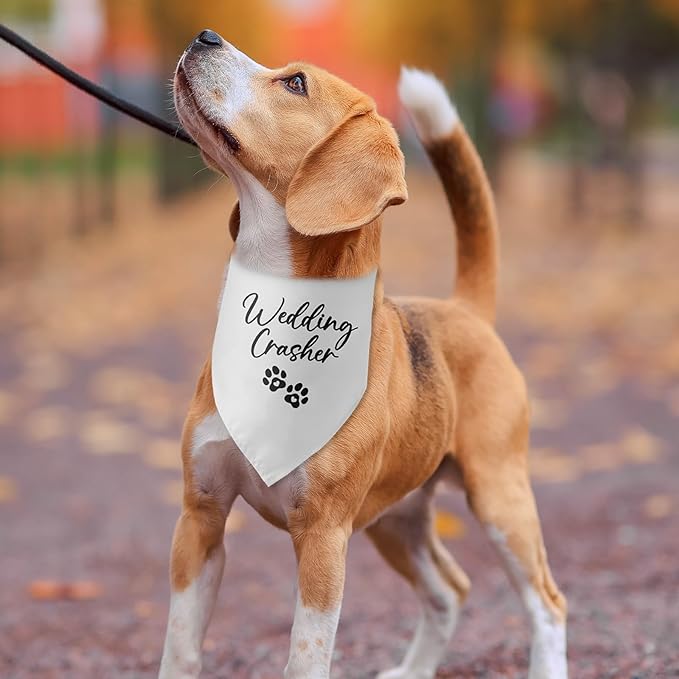 Wedding Crasher Dog Bandana Engagement Gifts for Couples Wedding Engagement Announcement Photo Prop Pet Scarf Accessories for Pet Dog Lovers Gifts
