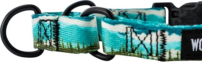 Wolfgang Heavy Duty Martingale Dog Collar with Quick Release Nylon Buckle for Walking & Training, GreatEscape Print, Small