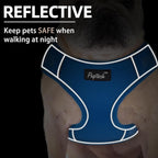 PUPTECK Small Dog Harness and Leash Set, No Pull Adjustable Puppy Cat Harness, Reflective Soft Mesh Pet Vest Small Sized, Blue, M
