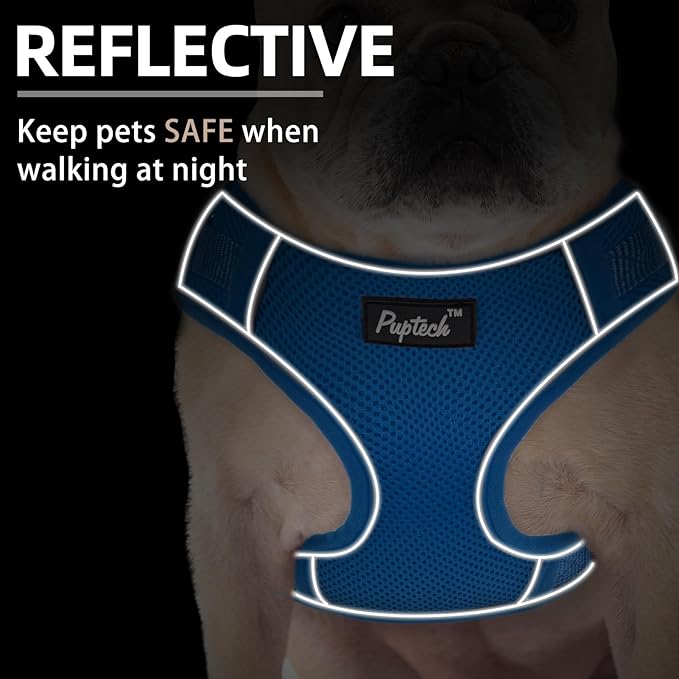 PUPTECK Small Dog Harness and Leash Set, No Pull Adjustable Puppy Cat Harness, Reflective Soft Mesh Pet Vest Small Sized, Blue, XS