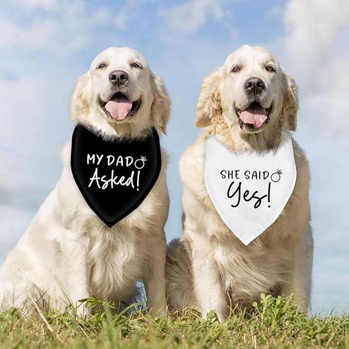 Dog Wedding Engagement Bandana Apparel & Accessories Pet Dog Scarf Photo Prop My DAD Asked! SHE Said Yes! Wedding Outfit Funny Engagement Party Decorations Gifts (Black+White)