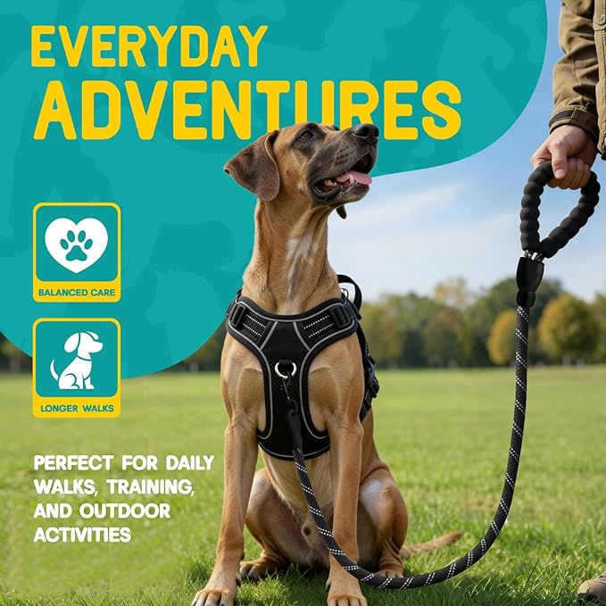 No Pull Dog Harness and Leash Set for Extra Large Dogs – Adjustable Reflective Breathable Soft Padded Easy Control Dog Harness for Training & Walking, Black (X-Large)
