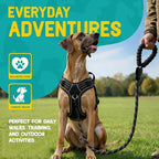 No Pull Dog Harness and Leash Set for Extra Large Dogs – Adjustable Reflective Breathable Soft Padded Easy Control Dog Harness for Training & Walking, Black (X-Large)