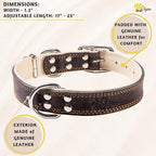 ADITYNA Heavy-Duty Black Leather Dog Collar for Large Dogs - Soft Padded for Comfort - Large Dog Collar for Walking, Training, and Hiking