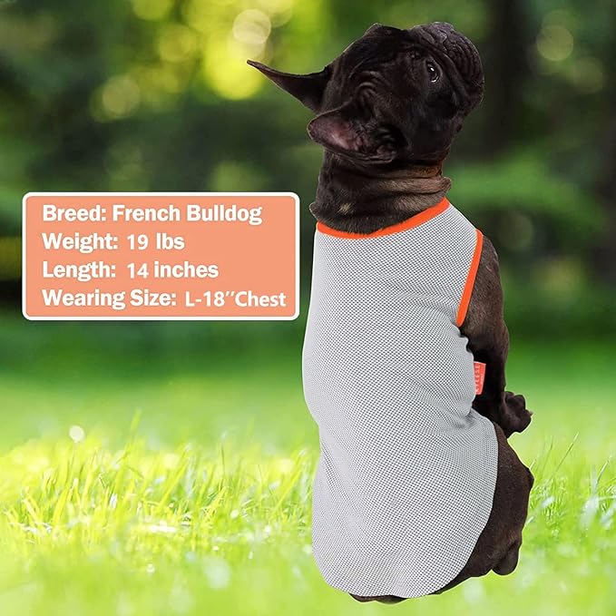 KYEESE 2Pack Dog Cooling Shirt, Breathable Dog Shirt for Small Dogs, Sun Protection Dogs Cooling Vest Tank Top, Lightweight Soft Sleeveless Summer Puppy Clothes, Pink+Grey, S