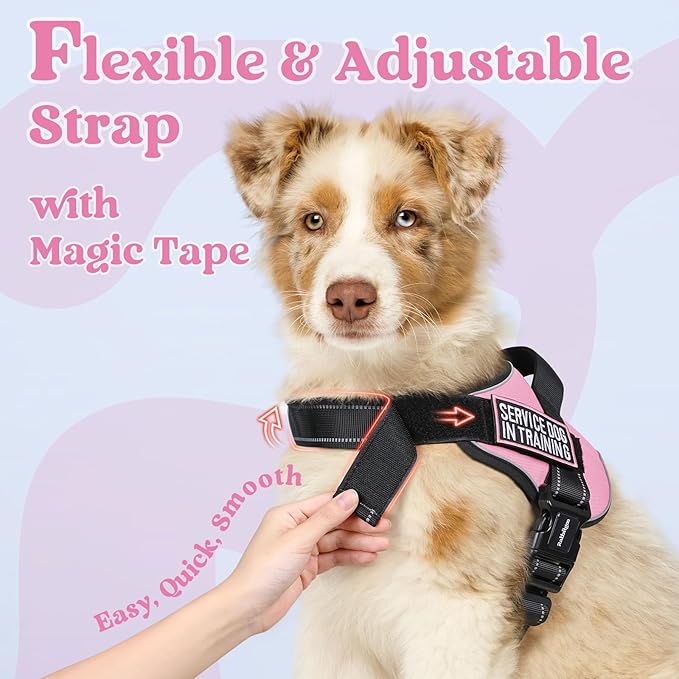rabbitgoo Dog Harness for Large Dogs, No Pull No Choke Pet Vest, Easy Wearing with One Buckle, Reflective, Adjustable Pet Harness with Molle for Walking, Training, Pink, L