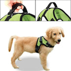 No Pull Reflective Adjustable Dog Harness with Handle- Comfortable Soft All Weather Mesh, Easy On Puppy Harness for Small Medium and Large Dogs (Green) X-Small