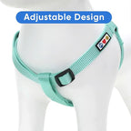 Pawtitas Solid Step-in Dog Harness – Adjustable No-Pull Vest for Puppies to Seniors, Safe & Comfortable XS Teal