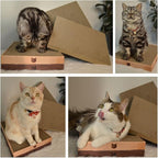 Necoichi Cardboard Cat Scratcher Bed for Indoor Cats - Cat Scratching Board (16" Wide, c. Replacement 2 Pads)
