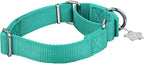 Martingale Dog Collar, No-Buckle Escape-Proof Design, Heavy-Duty Nylon and Welded D-Ring, Adjustable Training Collar for Medium Large Dogs (Tiffany Blue, L)