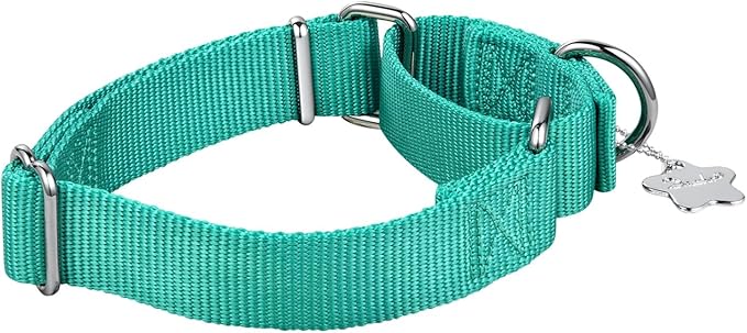 Martingale Dog Collar, No-Buckle Escape-Proof Design, Heavy-Duty Nylon and Welded D-Ring, Adjustable Training Collar for Medium Large Dogs (Tiffany Blue, L)