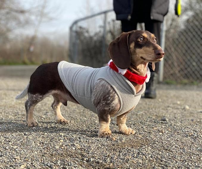 Gooby Fleece Vest Dog Sweater - Gray/Yellow, Medium - Warm Pullover Fleece Dog Jacket with O-Ring Leash for Small to Medium Dogs