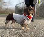 Gooby Fleece Vest Dog Sweater - Gray/Yellow, Small - Warm Pullover Fleece Dog Jacket with O-Ring Leash for Small to Medium Dogs