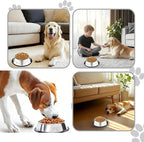 10 Pcs Stainless Steel Dog Bowl Pet Feeding Bowl with Rubber Base Non-Slip Pet Dishes Metal Dog Bowls Pet Food and Water Bowls for Small Medium Animals Kitten Rabbit (47.3 oz)