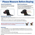 BARKLESS Sturdy No Pull Head Collar for Medium Large Dogs, Gentle Reflective Head Halter with Safety Link, Adjustable Nylon Dog Training Muzzle Leash for Walking Control (Blue, XL)
