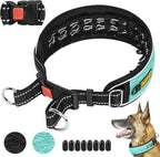 Mayerzon Martingale No Pull Collar for Large Medium Dogs Pitbull German Shepherd Rottweilers, Patented Reflective Anti Pull Dog Walking Collar with Buckle for Training Hiking, Adjustable(M, Cyan)