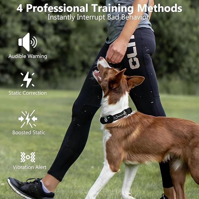 KIP Remote Dog Training Collar, IP67 Waterproof Shockproof E-Collar with 5 Training Modes, Rechargeable and Adjustable for Small, Medium and Large Dogs