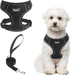 PUPTECK Small Dog Harness and Leash Set, No Pull Adjustable Puppy Cat Harness, Reflective Soft Mesh Pet Vest Small Sized, Black, M