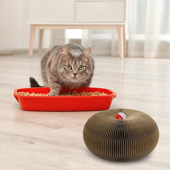 Andiker Magic Organ Cat Scratching Board, Corrugated Paper Cat Scratcher with Jingly Ball for Playing Scratching Paws, Foldable Grinding Cat Toys for Indoor Cats for Mental & Physical Exercise(Wood)
