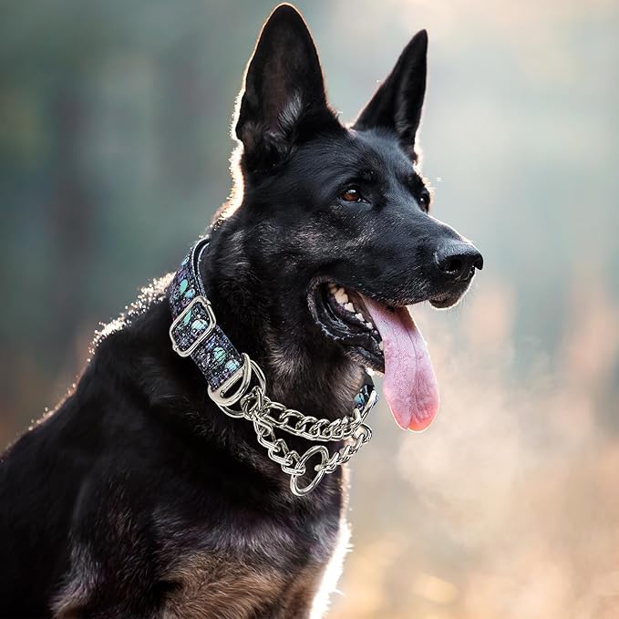 Martingale Dog Collar with Chain,Skull Reflective Nylon Soft Padded Adjustable Choke Collar for Large Breed Dogs, Medium, XL, XXL - Training & Walking Collar(Skull M)
