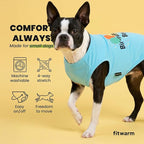 Fitwarm Birthday Boy Dog Shirt, Bir-Ruff-Day Boy Funny Dog Clothes for Small Dogs Boy, Pet Birthday Outfit, Cat Tshirt, 100% Breathable Cotton, Aqua Blue, Medium
