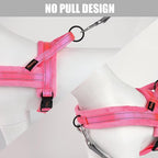 Didog Soft Flannel Padded Dog Vest Harness, No Pull/Quick Fit Reflective Dog Strap Harness, Easy for Training Walking (XS:Chest 15-18", Pink)