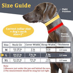 Mayerzon Martingale No Pull Collar for Large Medium Dogs Pitbull German Shepherd Rottweilers, Patented Reflective Anti Pull Dog Walking Collar with Buckle for Training Hiking, Adjustable(L, Grey)