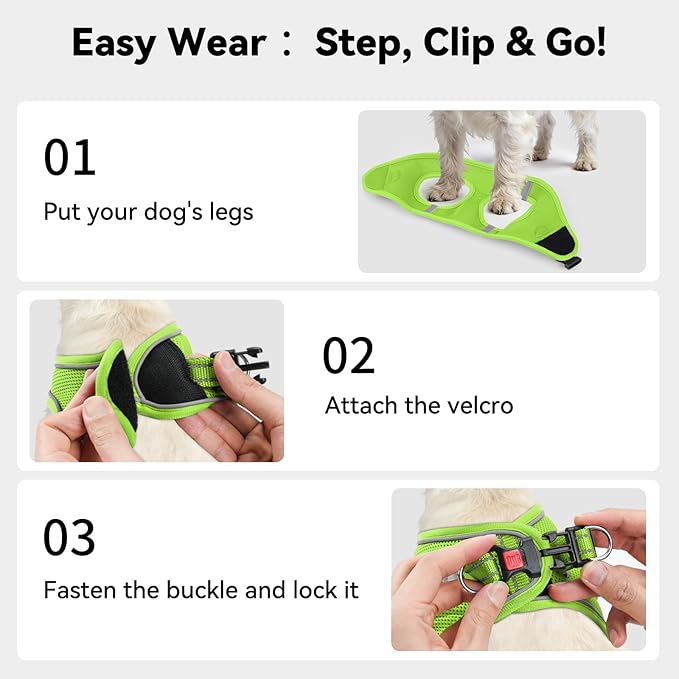 Joytale Small Dog Harness, Breathable Mesh Step-in Vest, Reflective Soft Padded Harnesses for Cats and Puppies Dogs, Green, XXXS