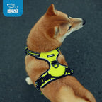 Voyager Dog Harness Dual Leash Attachment No-Pull Control Adjustable Soft but Strong Pet Harness for Medium and Large Dogs with 3M Reflective Technology - Turquoise, M (Chest: 20-25") (Pack of 3)