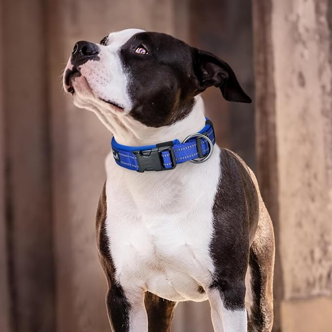 EXCELLENT ELITE SPANKER Reflective Dog Collar Classic Soft Padded Breathable Nylon Adjustable Pet Collar with Quick Release Buckle for Boy Girl Male Female Small Medium Large Dogs Training(Purple-XL,)