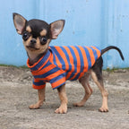 LOPHIPETS 100% Breathable Cotton Striped Dog Tee Shirt T-Shirt for Small Dogs Teacup Chihuahua Yorkie Puppy Clothes -Orange and Blue Strips/XXS