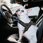 Didog Soft Flannel Padded Dog Vest Harness, No Pull/Quick Fit Reflective Dog Strap Harness, Easy for Training Walking (M:Chest 22-26", Black)
