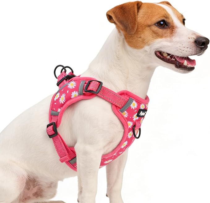 PUPTECK No Pull Dog Harness Small Sized Dog, Adjustable Reflective Escape Proof Easy Control, Comfortable Soft Padded Step in Pet Vest Harness, Fuschia, S