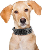 Premium Faux Leather Spiked Dog Collar with Square Studs: Stylish and Durable Design, Comfortable Fit for Small, Medium, & Large Dogs - Ideal for Everyday Walks, Training Black S