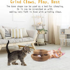 Kitty Kurlz Magic Organ Cat Scratcher Toys for Indoor, 2 Pack Twisty Paws Kitten Toy Cardboard Scratching Pads for Claw Grinding Interactive Mental Physical Exercise