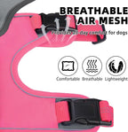 PUPTECK Escape Proof Dog Harness and Leash Set Upgraded No Pull Reflective Dog Vest with Lift Handle, Easy Control Pet Harness for Medium Large Dogs Training Walking Running, Fuchsia, L