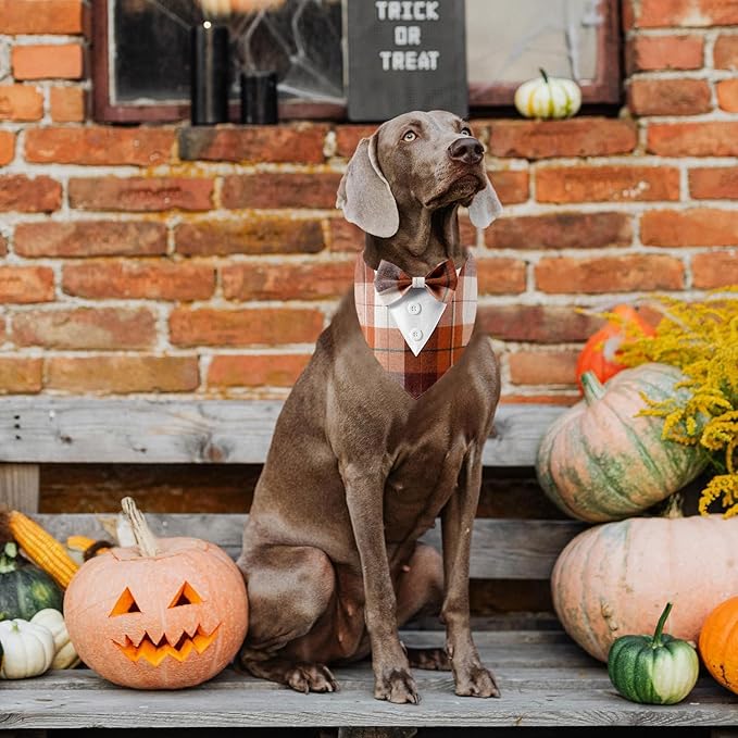 Fall Dog Tuxedo Bandana, Orange Plaid Pet Collar with Bowtie, Adjustable Halloween Thanksgiving Dog Tux Costume for Small to Extra Large Pets