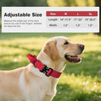 Joytale Tactical Dog Collar for Medium Dogs with Control Handle, Heavy Duty Military Training Collar for Power Breeds, AirTag Holder Case, Quick Release Metal Buckle, Soft Padded, M, Red