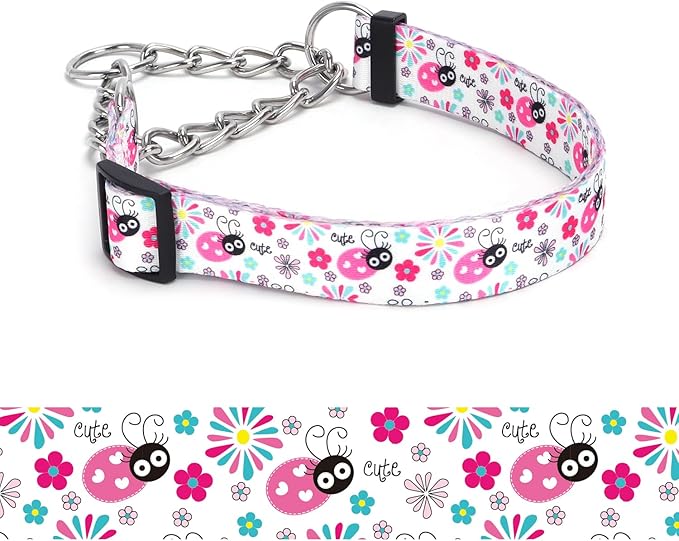 Martingale Dog Collar - Stainless Steel Chain, No Pull Training Collar with Flower Design for Large Medium Small Dogs (19, S)