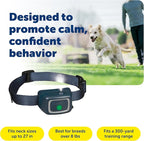 PetSafe Remote-Spray Trainer Add-A-Dog Collar - Waterproof & Rechargeable Spray Training Collar - Redirects Attention & Reinforces Positive Behavior - for Dogs 8 lb+