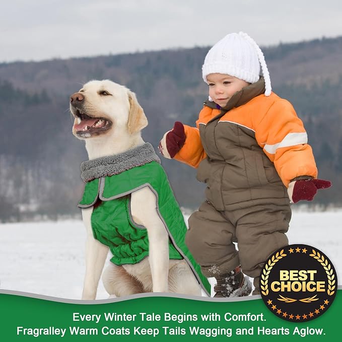 Fragralley Dog Winter Coat, Waterproof Windproof Reflective Fleece Jacket with Harness Hole, Warm Snow Vest for Small Medium Large Dogs, Ideal Gifts