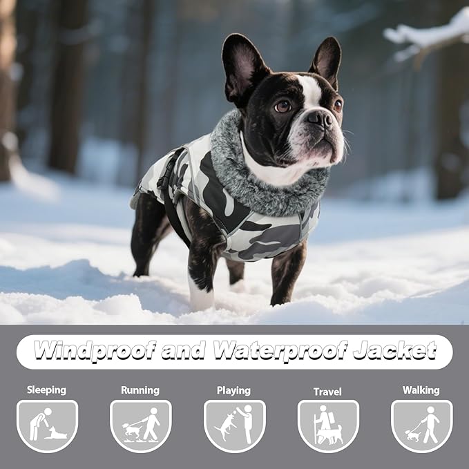 DENTRUN Medium Dog Winter Jacket - Warm Reflective Windproof Coat, Adjustable Neck & Snap Closure, Water Repellent Thick Fleece Vest, Fleece Lined for Beagle Pug, White Camo, M