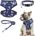 SCENEREAL Small Dog Harness Collar and Leash Set, Adjustable No Pull Pet Harnesses, No Chock Soft Mesh Vest for Doggie Puppy Medium Dogs Cats Girl or Boy,Chihuahua, Yorkie, Outdoor Walking
