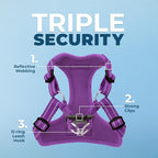 Best Pet Supplies Voyager Adjustable Step-in Flex Breathable Mesh Dog Harness for Small Medium Large Dogs (Purple), L