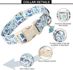 ARING PET Dinosaur Dog Collar-Cute Boy Dog Collar for Small Dogs, Adjustable Dinosaur Print Pet Collars Puppy Collar for Small Medium Large Dogs