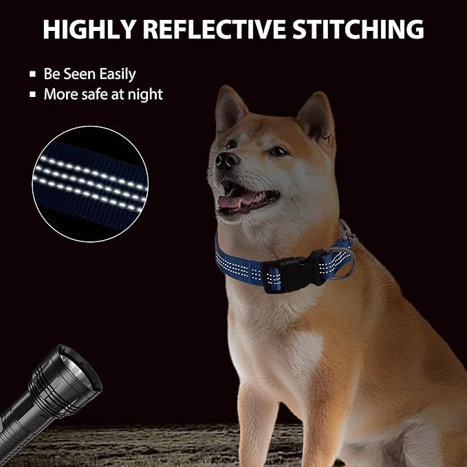 Martingale Dog Collar with Quick Release Buckle Steel Chain No Pull Training Reflective Collar for Medium Large Dogs(Blue, Large)