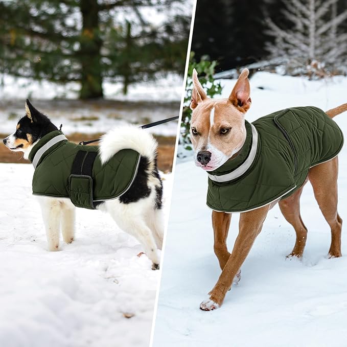 KAMA BRIDAL Dog Winter Coat Warm Padded Puppy Jacket Windproof Water Resistant Clothes for Small Medium Large Pets Christmas Sweater Outfit Vest(Green, 3XL)