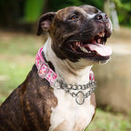Reflective Martingale Dog Collar with Soft Padded,Adjustable Heavy Duty Choke Steel Chain Big Dog Training, Walking, Hunting Collar for All Breeds (Pink Flowers XXL)