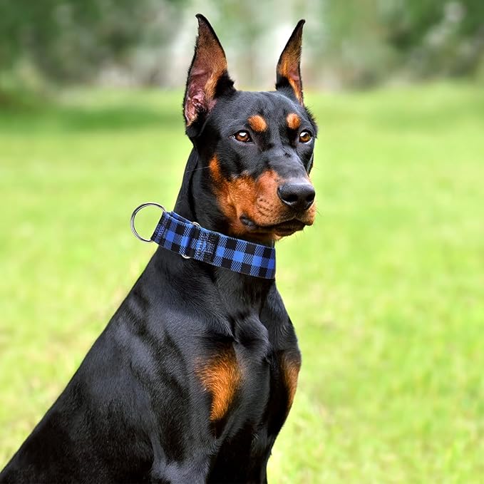 1.5 Inches Martingale Collar for Dogs Large Medium, with Special Blue Plaid Design, Adjustable Premium No Slip Collar for Girl Boy Dogs(Blue Plaid M)