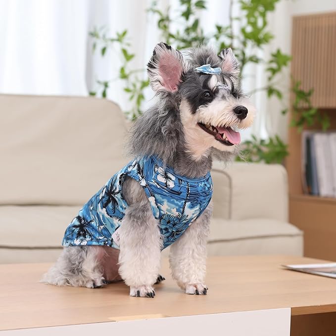 CuteBone Dog Shirts 2-Pack Soft Pet Clothes Breathable Summer Vest for Small Puppy and Stretchy Cat Apparel 2BX19M
